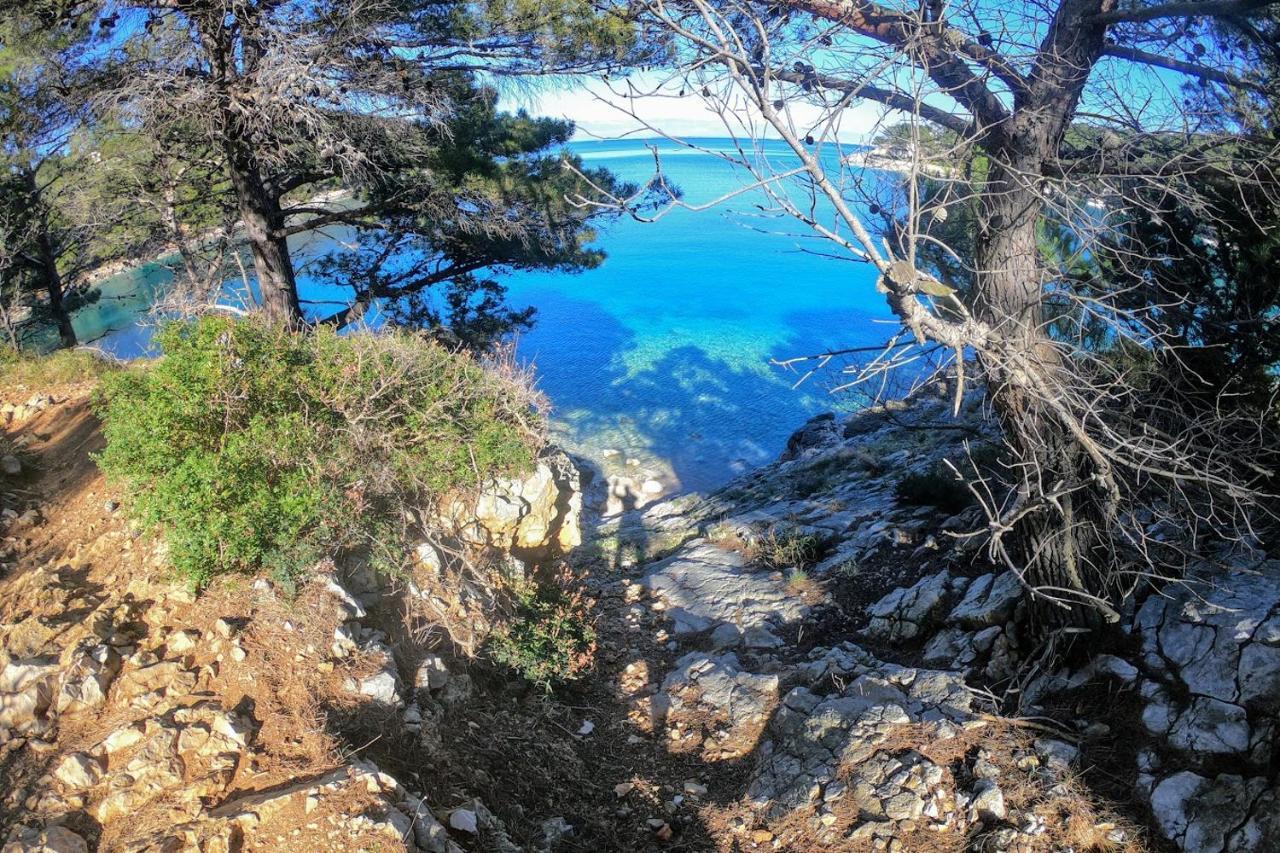 Amaryllis Residence, Apartment Diana & Deluxe Rooms With Shared Kitchen Veli Lošinj Εξωτερικό φωτογραφία
