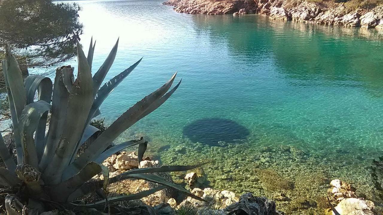 Amaryllis Residence, Apartment Diana & Deluxe Rooms With Shared Kitchen Veli Lošinj Εξωτερικό φωτογραφία