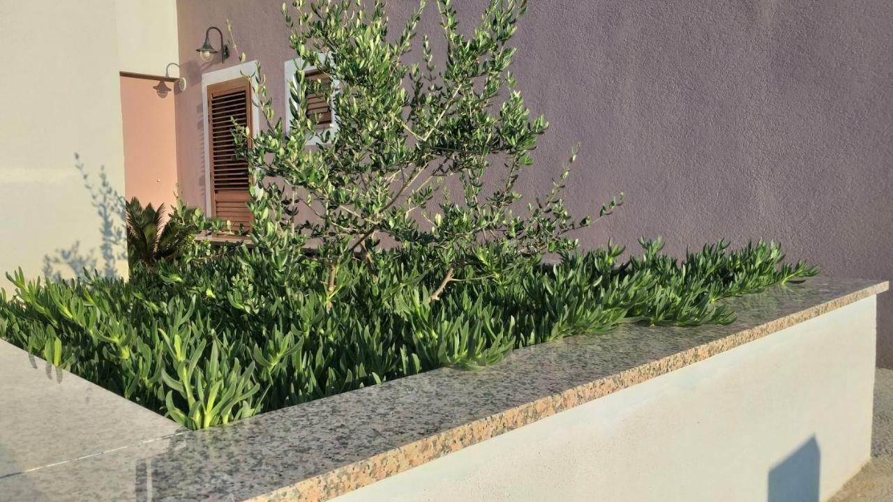 Amaryllis Residence, Apartment Diana & Deluxe Rooms With Shared Kitchen Veli Lošinj Εξωτερικό φωτογραφία